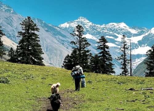 Kuari Pass Trek