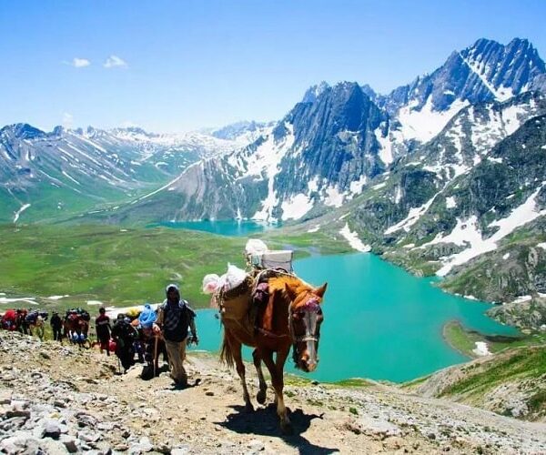 kashmir great lakes trek