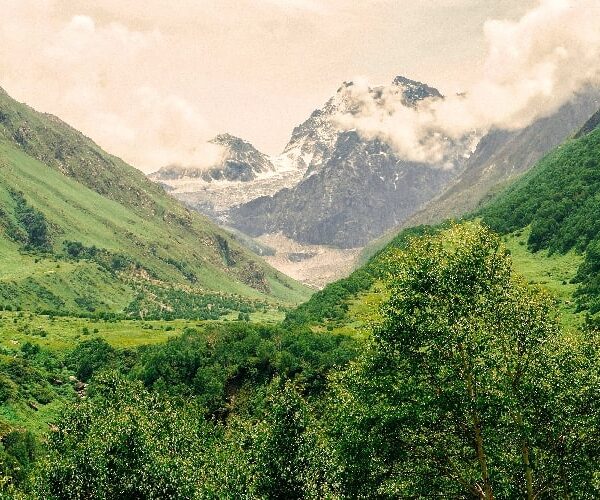 valley of flowers trek